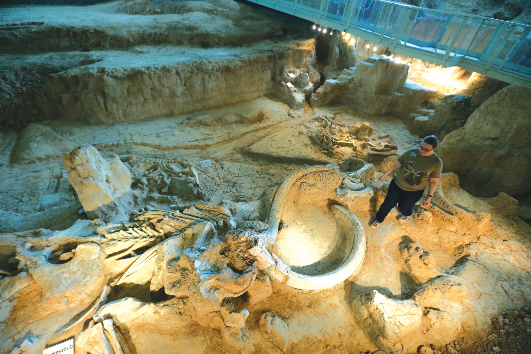 MammothSite2.jpg